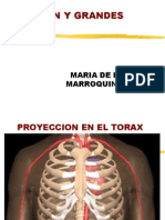 Anatomia Radiologica Corazon