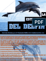 La Estrategia Del Delfin