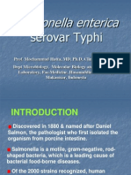 Salmonella Typhi 2012