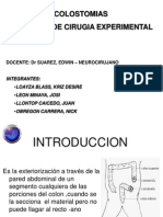 S04 Colostomia