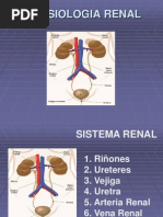 Fisiologia Renal