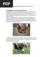 La Gallina y Otros Monstruos