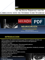 Medula Anclada Anatomia