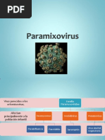 Paramixovirus Completo