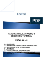 Endfeel PDF