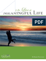 MeaningfulLife Ebook