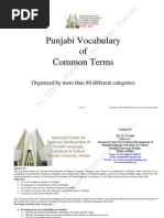 Punjabi Vocabulary of Common Terms From English