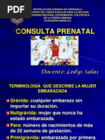 1) Consulta - Prenatal 2