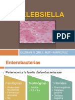 KLEBSIELLA