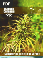 Revista Cultura Cannabis Octava Final3