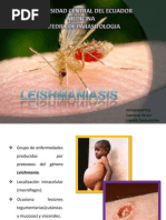 Leishmaniosis FCM