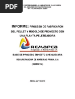 Informe - Pellets