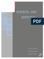 New Microsoft Office Word Document - Biodiesel