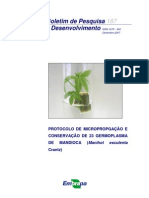 Cid Et Al 2007, Protocolo de Micropropagação e Conservação de 23 Germoplasma de Mandioca