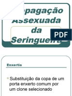 Propagação Assexuada Da Seringueira