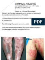 Purpura Trombocitopenica