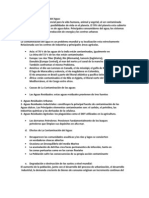 Copia de La Contaminación Del Agua