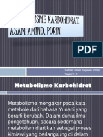 Metabolisme Karbohidrat, Asam Amino, Purin