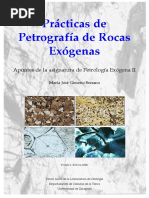 Petrografia Exógena