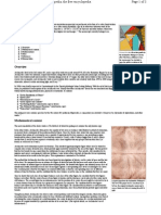 Archimedes Palimpsest: Ostomachion Is A Dissection Puzzle in