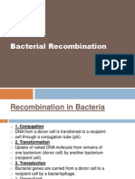 Recombination