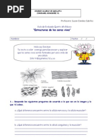 La Celula 5to. Guía