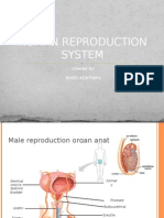 Human Reproduction System