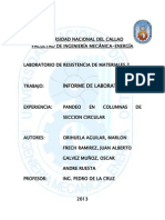 Informe de Pandeo en Columnas de Seccion Circular