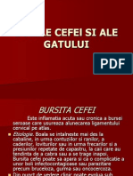 Bolile Cefei, Grebanului Si Gatului