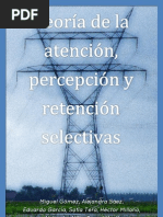 Teoría de La Atención, Percepción y Retención Selectivas