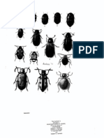 Insect and Mite Pests in Food Volume I