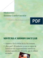 Clase 17 Analisis Morfologico Del Corazon