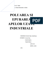 Poluarea Apelor Si Epurarea Apelor Uzate Industriale - Word