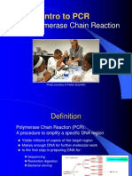 The Polymerase Chain Reaction: Intro To PCR