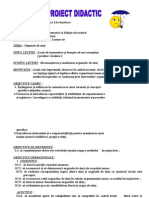 Proiect Didactic - Organele de Simt