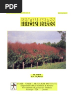 Broom Grass