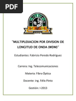 WDM Informe