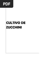 Cultivo de Zucchini