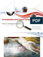 Virtualization and Cloud Computing: How To Manage The Risk?