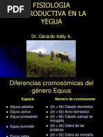 Fisiologia Reproductiva de La Yegua