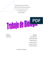 Algas y Protozoarios