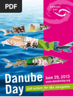 Danubeday Poster2013