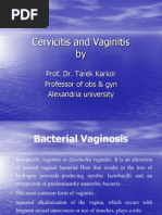 Cervicitis and Vaginitis