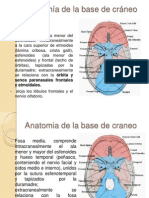 Tumores de Base de Craneo y Senos Paranasales