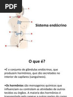 Sistema Endócrino