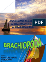 Brachiopoda, Bismillah. - .