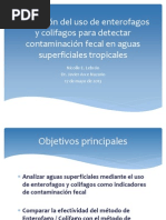 Evaluación Del Uso de Enterofagos y Colifagos para Detectar Contaminación Fecal en Aguas Superficiales Tropicales