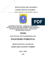 Tesis Forestal