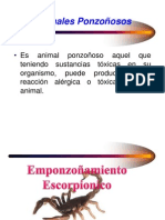 Exposicion Animales Ponzoñosos