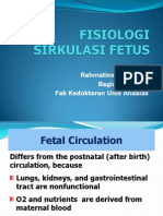 Sirkulasi Fetus (Fetus Circulation)